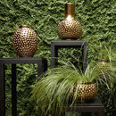 Gervasoni Cera 01/02/03/04/05 Dining table accessories