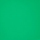 PLEXIGLAS truLED® Green 6H71 GT Evonik Röhm