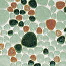 Giaretta Italia srl Joy Ciottoli Verde Mosaïques Mosaïques murales Sols en céramique Verre: mosaïques
