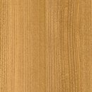 skai Techprofil Canadian Elm hemlock Hornschuch