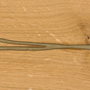 mafi mafi ROBLE Coral oro. cepillado  |  aceitado natural Material: madera y sus derivados Suelos de madera