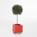 extremis Alea Aménagement d'espaces verts Jardinières / Grilles d'arbre