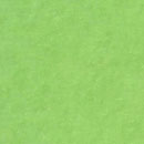 PIZ colour Ve/3 smooth PIZ s.r.l.