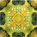Dominic Crinson Yellow Glitz 2 Ceramic Wall tiles