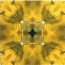 Dominic Crinson Yellow Glitz 7 Ceramic Wall tiles