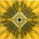Dominic Crinson Yellow Glitz 8 Ceramic Wall tiles