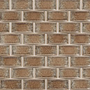 Tantrum Field 1" x 2" Arch Broken Joint Sonoma Tilemakers