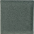 Stellar Field 6" x 6" Amazon Sonoma Tilemakers