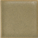 Stellar Field 6" x 6" Lizard Sonoma Tilemakers