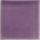 Stellar Field 6" x 6" Passionflower Sonoma Tilemakers