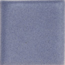 Stellar Field 6" x 6" Riviera Blue Sonoma Tilemakers