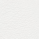 Fantasy white Studio Art