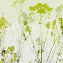 Hornschuch Spirit|Panel Herbage Pellicole / Adesivi da parete