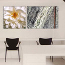 tela-design tela Marbellous Snail Arts muraux