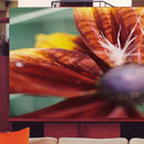 tela-design tela Flaming Wings Gabriel Arts muraux