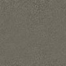 Sadlerstone Signature Fossil Concrete / Cement Concrete/cement flooring Floor panels Floor tiles Wall panels Wall tiles