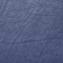 Hornschuch skai Evida Material: Natural leather / Faux leather Upholstery materials/fabrics