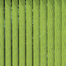 Création Baumann Laser Carmen V