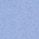 RAUVISIO quartz - Cobalto 1136L REHAU