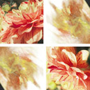 tela-design tela Desert Dust Dahlia Material: plásticos Paneles murales