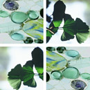 tela Gingko Dollars tela-design