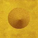 Elitis Asian Cookies VP 641 05 Plastics: wall coverings Wallcoverings / Wallpaper