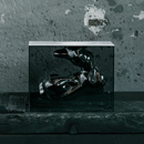 Glas Italia Angela Table accessories