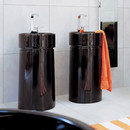 Twin column Ceramica Flaminia