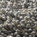 Carpet Sign Magma 150020 Moquette / Tappeti