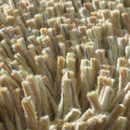 Carpet Sign Magma 150060 Moquette / Tappeti
