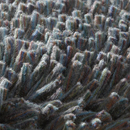 Carpet Sign Magma 150100 Moquette / Tappeti