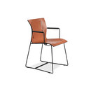 Walter Knoll Cuoio chair with armrests Eventi Sedute Sedute contract