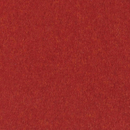Copenhagen red Steiner