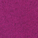 Arosa pink Steiner