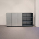 Container Program 980/981 sdr plus