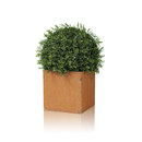Röshults LINNÉ 30x30 ROST Aménagement d'espaces verts