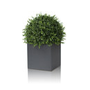 Röshults LINNÉ 30x30 ANT Aménagement d'espaces verts