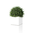 Röshults LINNÉ 30x30 VIT Aménagement d'espaces verts