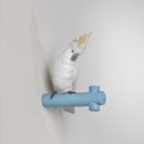 Lladró Parrot Hang I Accessoires d'habitat / de bureau Garderobes / Mobilier d'entrée