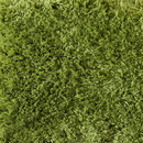 Breeze A a-carpet