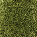 Breeze E a-carpet