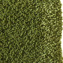 Breeze E a-carpet