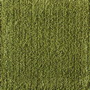 Breeze G a-carpet