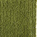 Breeze G a-carpet
