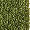a-carpet Breeze H