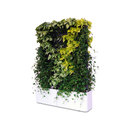 Greenworks Moving Hedge Accessori per abitazioni / uffici Complementi Piccoli mobili / Complementi Separazione ambienti