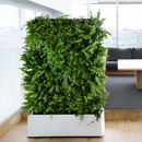 Greenworks Moving Hedge Accessoires d'habitat / de bureau Cloisons / Paravents Cloisons / Systèmes de partition Espace d'entrée / Réception