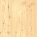 CLASSIC CONIFERAS Alerce Siberiano con nudos blanco Admonter