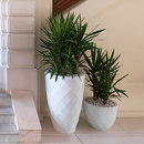 Vondom Vases Isla Accessori per abitazioni / uffici Fioriere / Protezione alberi Vasi / contenitori per piante