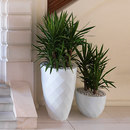 Vondom Vases Isla Living-room / Office complements Planting Urban planters